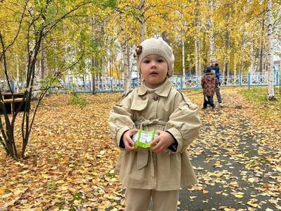 Пришкольная территория